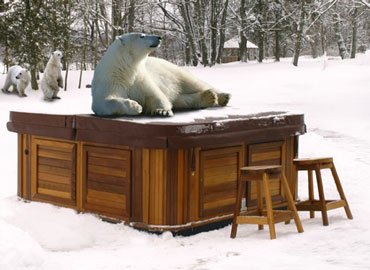 Termokryt vířivek Arctic