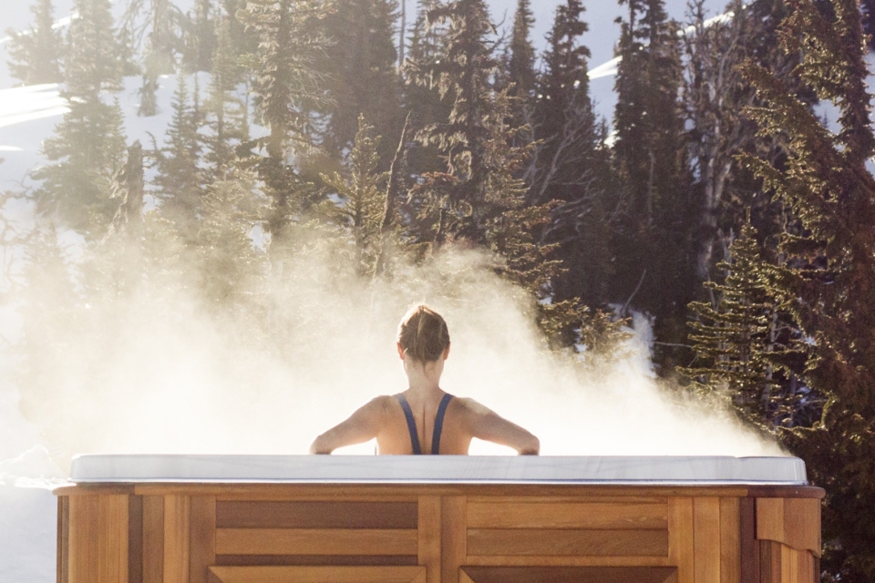 Arctic Spas First